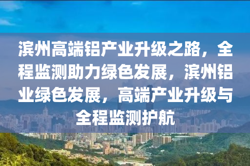 濱州高端鋁產(chǎn)業(yè)升級之路，全程監(jiān)測助力綠色發(fā)展，濱州鋁業(yè)綠色發(fā)展，高端產(chǎn)業(yè)升級與全程監(jiān)測護航液壓動力機械,元件制造