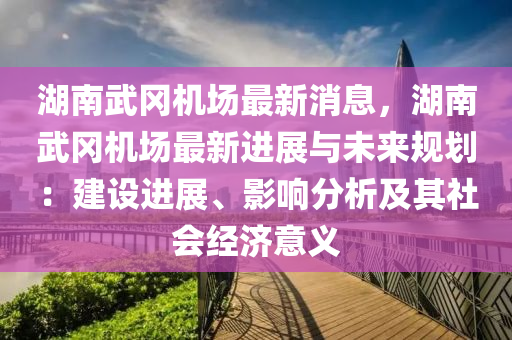 湖南武岡機場最新消息，湖南武岡機場最新進(jìn)展與未來規(guī)劃：建設(shè)進(jìn)展、影響分析及其社會經(jīng)濟意義液壓動力機械,元件制造