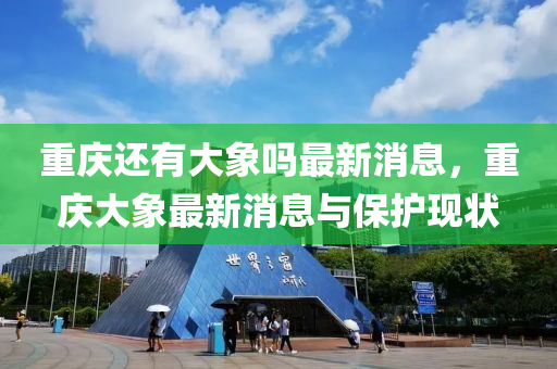 重慶還有大象嗎最新消息，重慶大象最新消息與保護(hù)現(xiàn)狀液壓動(dòng)力機(jī)械,元件制造