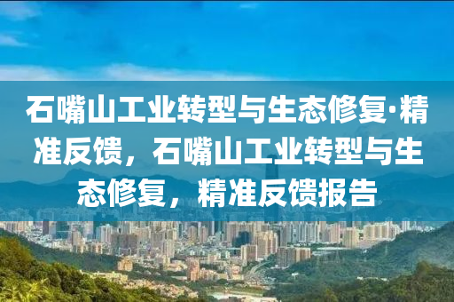 石嘴山工業(yè)轉(zhuǎn)型與生態(tài)修復(fù)·精準(zhǔn)反饋，石嘴山工業(yè)轉(zhuǎn)型與生態(tài)修復(fù)，精準(zhǔn)反饋報(bào)告液壓動(dòng)力機(jī)械,元件制造