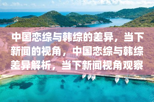 中國戀綜與韓綜的差異，當(dāng)下新聞的視角，中國戀綜與韓綜差異解析，當(dāng)下新聞視角觀察液壓動力機械,元件制造