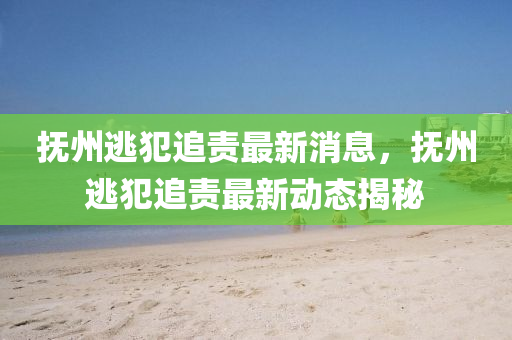 撫州逃犯追責(zé)最新消息，撫州逃犯追責(zé)最新動態(tài)揭秘液壓動力機(jī)械,元件制造
