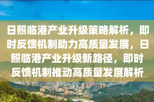 日照臨港產(chǎn)業(yè)升級策略解析，即時反饋機制助力高質(zhì)量發(fā)展，日照臨港產(chǎn)業(yè)升液壓動力機械,元件制造級新路徑，即時反饋機制推動高質(zhì)量發(fā)展解析