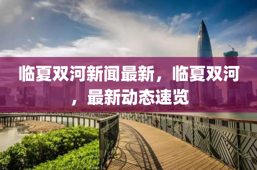 臨夏雙河新聞最新，臨夏雙液壓動力機械,元件制造河，最新動態(tài)速覽