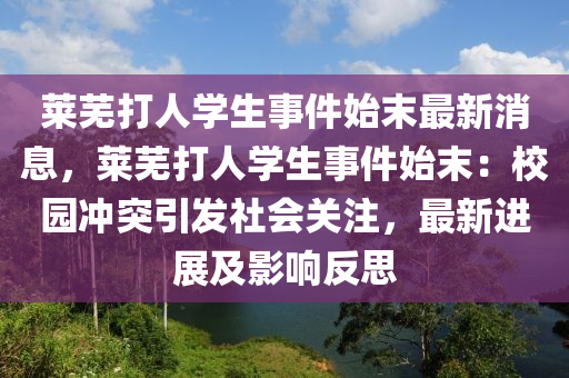 萊蕪打人學(xué)生事件始末最新消息，萊蕪打人學(xué)生事件始末：校園沖突引發(fā)社會液壓動力機械,元件制造關(guān)注，最新進展及影響反思