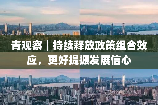 青觀察｜持續(xù)釋放政策組合效應(yīng)，更好提振發(fā)展信心液壓動(dòng)力機(jī)械,元件制造