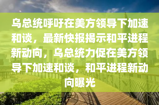 烏總統(tǒng)呼吁在美方領(lǐng)導(dǎo)下加速和談，最新快報(bào)揭示和平進(jìn)程新動向，烏總統(tǒng)力促在美方領(lǐng)導(dǎo)下加速和談，和平進(jìn)程新動向曝光液壓動力機(jī)械,元件制造