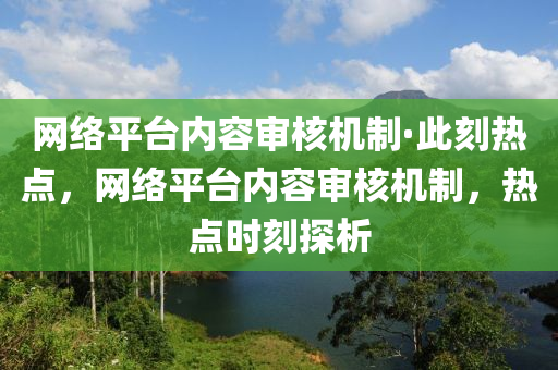 網(wǎng)絡(luò)平臺(tái)內(nèi)容審核機(jī)制·此刻熱點(diǎn)，網(wǎng)絡(luò)液壓動(dòng)力機(jī)械,元件制造平臺(tái)內(nèi)容審核機(jī)制，熱點(diǎn)時(shí)刻探析