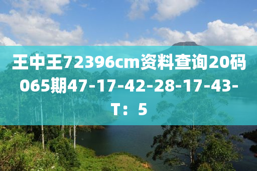 王中王72396cm資料查詢20碼065期47-17-42-液壓動(dòng)力機(jī)械,元件制造28-17-43-T：5