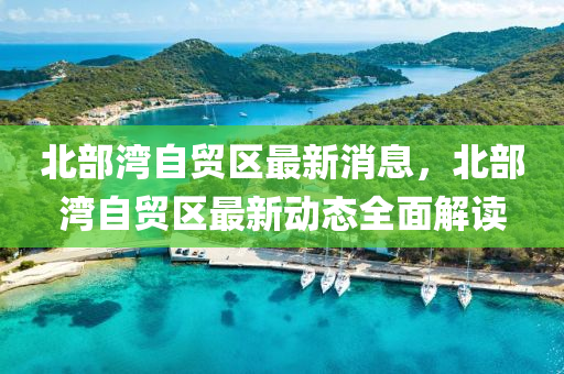 北部灣自貿(mào)區(qū)最新消息，北部灣自貿(mào)區(qū)最新動(dòng)態(tài)全面解讀液壓動(dòng)力機(jī)械,元件制造