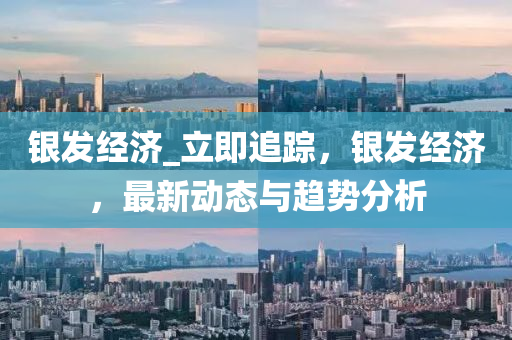 銀發(fā)經(jīng)濟(jì)_立即追蹤，銀發(fā)經(jīng)濟(jì)，最液壓動力機(jī)械,元件制造新動態(tài)與趨勢分析
