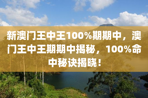 新澳門王中王100%期期中，澳門王中王期期中揭秘，100%命中秘訣揭曉！液壓動(dòng)力機(jī)械,元件制造