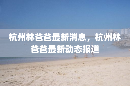 杭州林爸爸最新消息，杭州林爸爸最新動(dòng)態(tài)報(bào)道