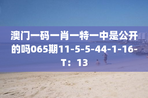 澳門一碼一肖一特一中是公開的嗎065液壓動(dòng)力機(jī)械,元件制造期11-5-5-44-1-16-T：13