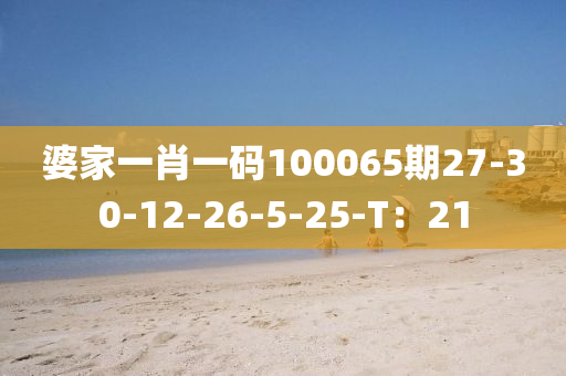 婆家一肖一碼100065期27-30-12-26-5-液壓動(dòng)力機(jī)械,元件制造25-T：21