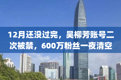 12月還沒過完，吳柳芳賬號二次被禁，600萬粉絲一夜清空液壓動力機(jī)械,元件制造
