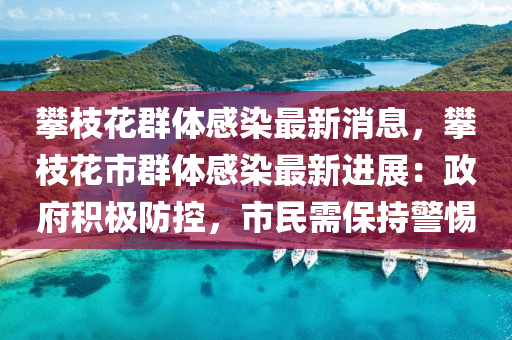 攀枝花群體感染最新消息，攀枝花市群體感染最新進(jìn)展：政府積極防控，市民需保持警惕液壓動力機(jī)械,元件制造