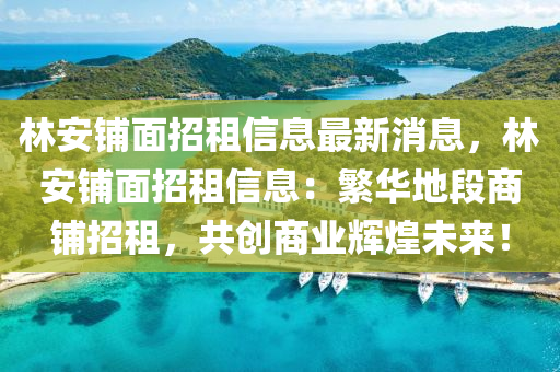 林安鋪面招租信息最新消息，林安鋪面招租信息：繁華液壓動(dòng)力機(jī)械,元件制造地段商鋪招租，共創(chuàng)商業(yè)輝煌未來！