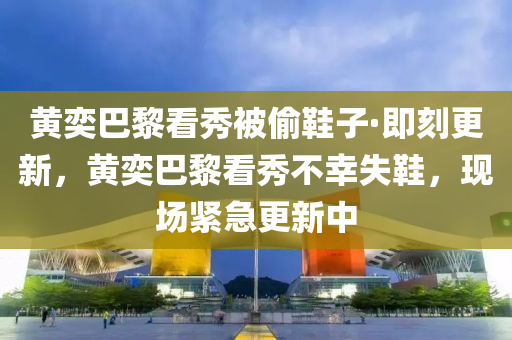 黃奕巴黎看秀被偷鞋子·即刻更新，黃奕巴黎看秀不幸失鞋，現(xiàn)場(chǎng)緊急更新中液壓動(dòng)力機(jī)械,元件制造