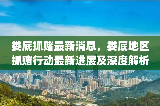 婁底抓賭最新消息，婁底地區(qū)抓賭行動最新進展及深度解析液壓動力機械,元件制造