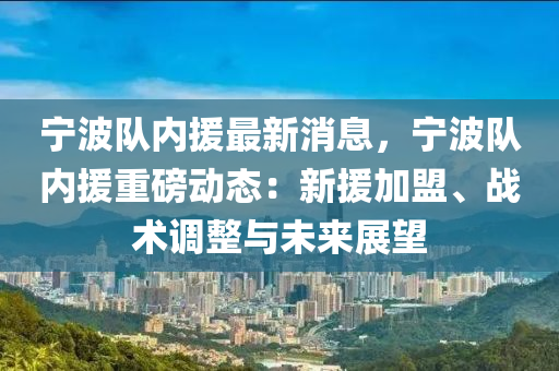 寧波隊(duì)內(nèi)援最新消息，寧波隊(duì)內(nèi)援重磅動(dòng)態(tài)：新援加盟、戰(zhàn)術(shù)調(diào)整與未來展望液壓動(dòng)力機(jī)械,元件制造
