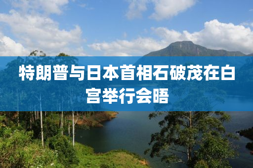 特朗普與日本首相石破茂在白宮舉行會晤液壓動力機械,元件制造