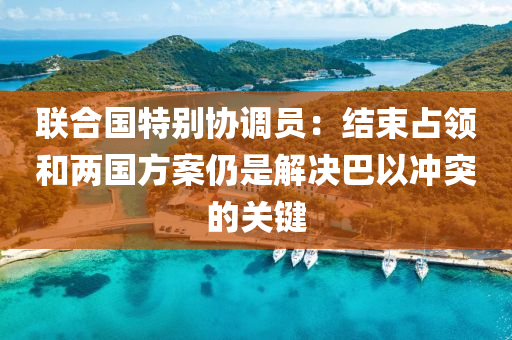 聯(lián)合國特別協(xié)調(diào)員：結(jié)束占領(lǐng)和兩國方案仍是解決巴以沖突的關(guān)鍵液壓動力機械,元件制造