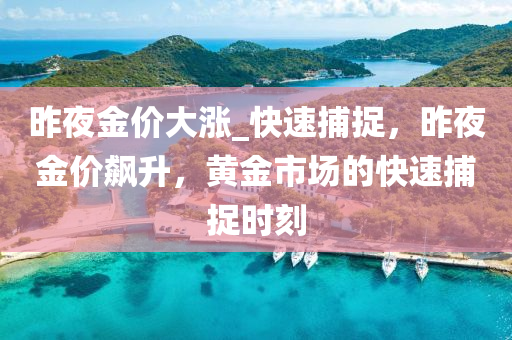 昨夜金價大漲_快速捕捉，昨夜金價飆升，黃金市場的快速捕捉時刻液壓動力機械,元件制造