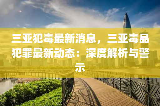 三亞犯毒最新消息，三亞毒品犯罪液壓動(dòng)力機(jī)械,元件制造最新動(dòng)態(tài)：深度解析與警示