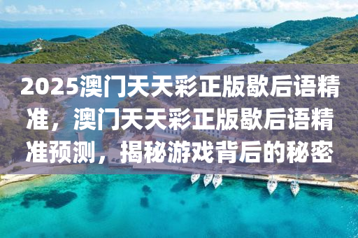 2025澳門天天彩正版歇后語精準(zhǔn)，澳門天天彩正版歇后語精準(zhǔn)預(yù)測，揭秘游戲背后的秘密液壓動力機械,元件制造