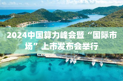 2024中國算力峰會暨“國際市場”上市發(fā)布會舉行液壓動力機(jī)械,元件制造