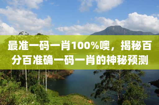 最準(zhǔn)一碼一肖100%噢，揭秘百分百準(zhǔn)確一碼一肖的神秘預(yù)測液壓動力機械,元件制造