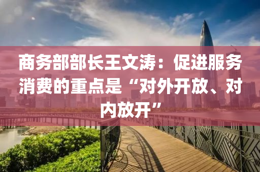 商務(wù)部部長王文濤：促進服務(wù)消費的重點是“對外開放、對內(nèi)放開”液壓動力機械,元件制造
