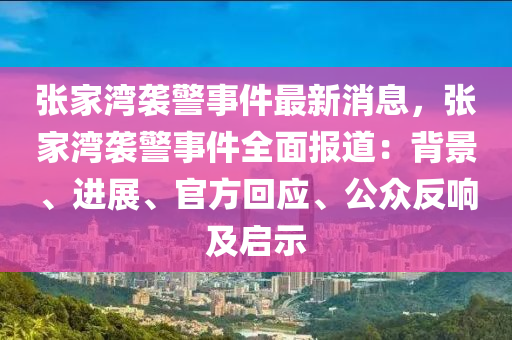 張家灣襲警事件最新消息，張家液壓動力機(jī)械,元件制造灣襲警事件全面報道：背景、進(jìn)展、官方回應(yīng)、公眾反響及啟示