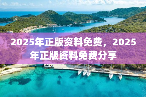 2025年正版資料免費(fèi)，2025年正版資料免費(fèi)分享