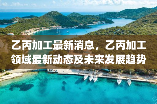 乙丙加工最新消息，乙丙加工領(lǐng)域最新動(dòng)態(tài)及未來發(fā)展趨勢液壓動(dòng)力機(jī)械,元件制造