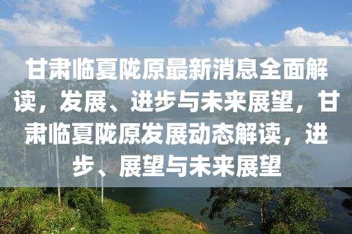 甘肅臨夏隴原最新消息全面解讀，發(fā)展、進(jìn)步與未來(lái)展望，甘肅臨夏隴原發(fā)展動(dòng)態(tài)解讀，進(jìn)步、展望與未來(lái)展望液壓動(dòng)力機(jī)械,元件制造