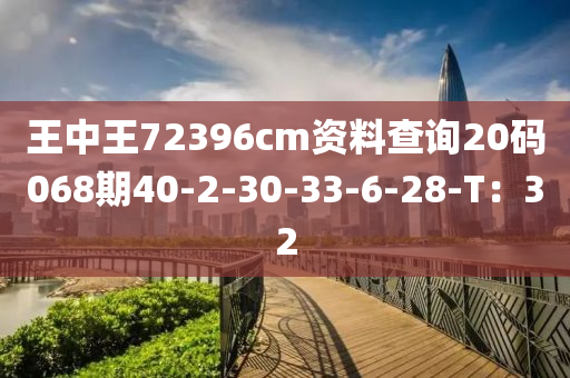 王中王72396cm資料查詢20液壓動(dòng)力機(jī)械,元件制造碼068期40-2-30-33-6-28-T：32