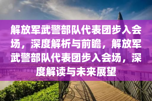 解放軍武警部隊代表團步入會場，深度解析與前瞻，解放軍武警部隊代表團步入會場，深度解讀與未來展望液壓動力機械,元件制造