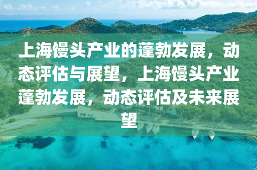上海饅頭產(chǎn)業(yè)的蓬勃發(fā)展，動態(tài)評估與展望，上海饅頭產(chǎn)業(yè)蓬勃發(fā)展，動態(tài)評估及未來展望液壓動力機(jī)械,元件制造